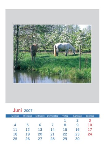 kalender2007-wanzek_page_07.jpg